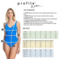 Profile by Gottex Women's Standard Aqua Fresco D Cup Swimdress, Multi Blue