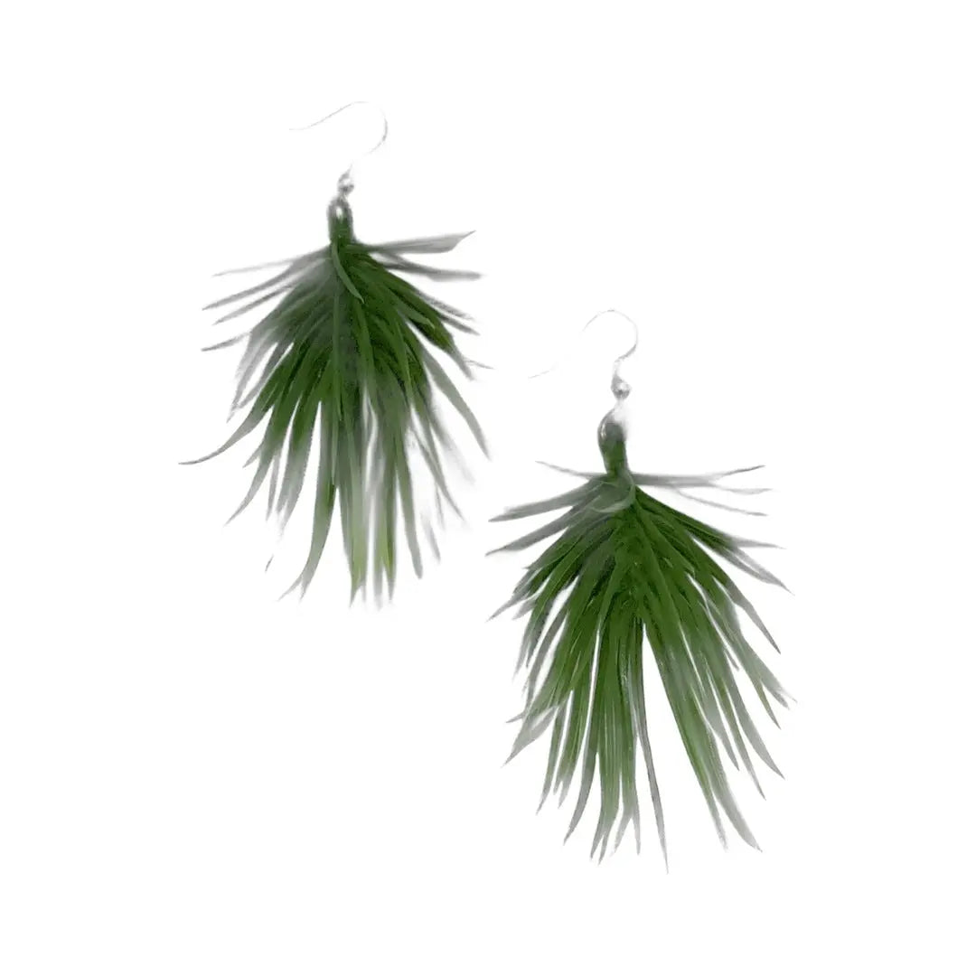 Plant June Makuwa Swim Wear