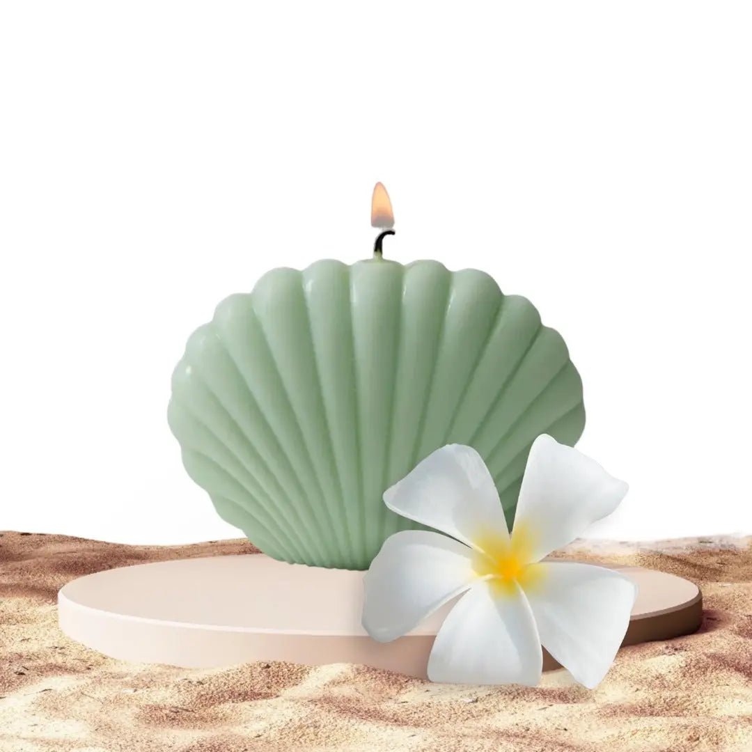 Sage and Sea Shell Art Candle Makuwa Swim Wear