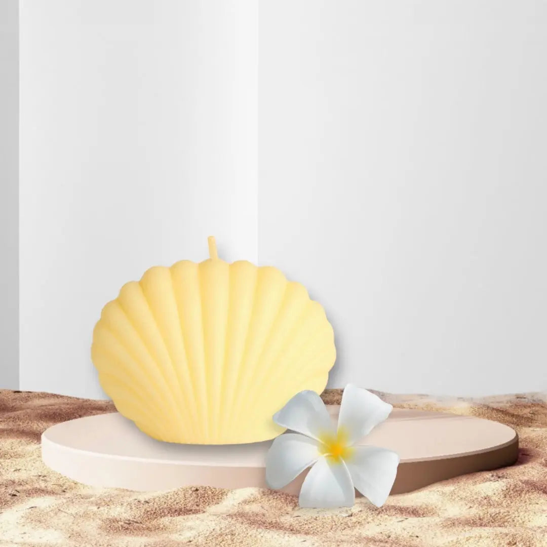 Chamomile Shell Art Candle Makuwa Swim Wear