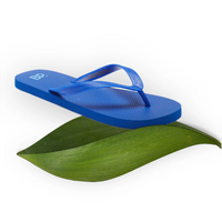 Men's BP Flip Flops BP